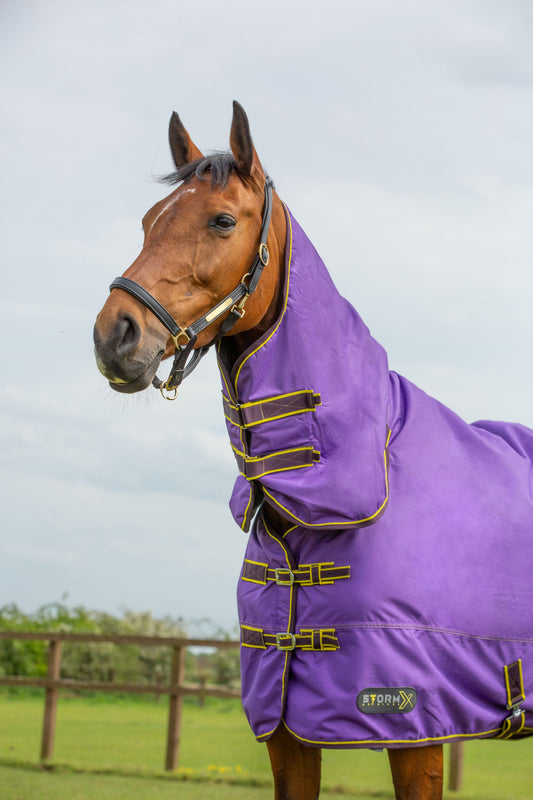 Step Out in Style and Comfort: Turnout Rugs for Every Season