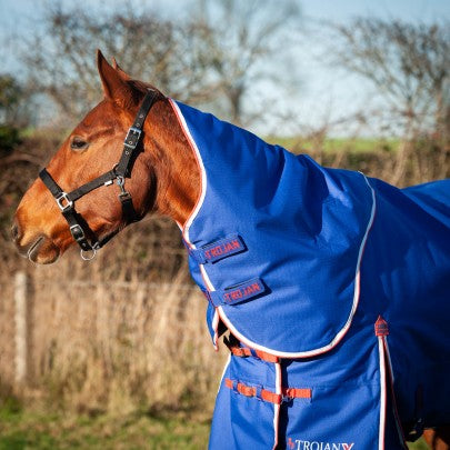 TROJAN Xtra 200g Dual Turnout Set