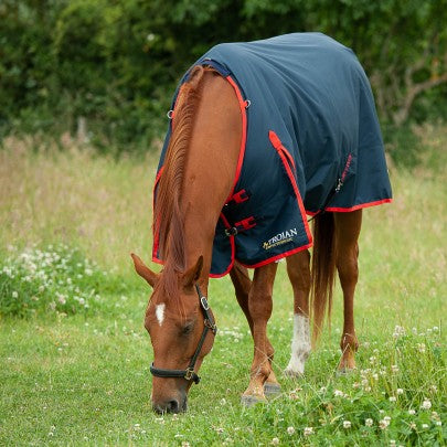 TROJAN 200g Turnout Rug