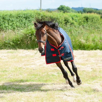 TROJAN 200g Turnout Rug