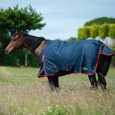 TROJAN 200g Turnout Rug