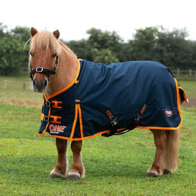 Ponie 100g Turnout