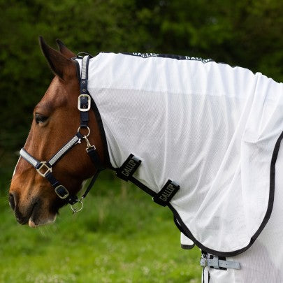 GALLOP Dual 5-Point Fly Rug