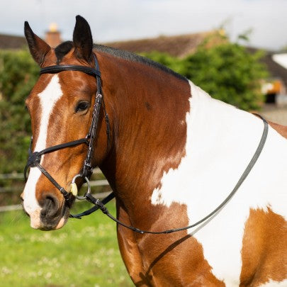 Grackle Bridle