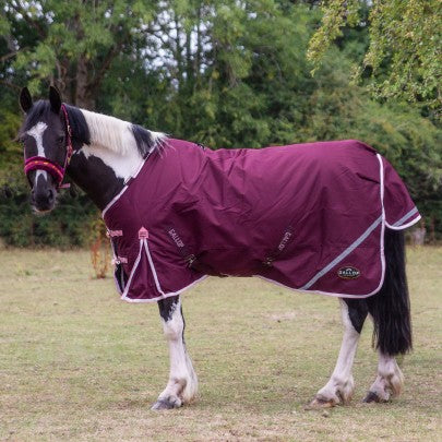 NEW TROJAN Xtra Duraproof 200g 5-Point Standard Neck Turnout