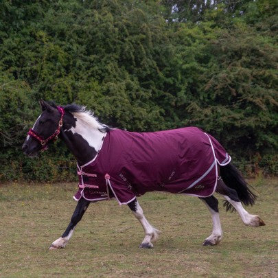NEW TROJAN Xtra Duraproof 200g 5-Point Standard Neck Turnout