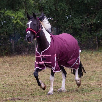 NEW TROJAN Xtra Duraproof 200g 5-Point Standard Neck Turnout