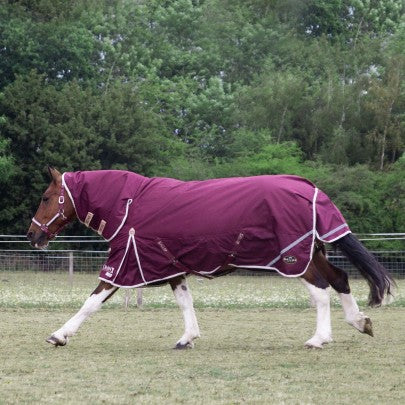 NEW TROJAN Xtra Duraproof 100g Turnout Combo