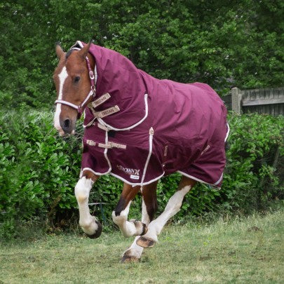 NEW TROJAN Xtra Duraproof 100g Turnout Combo