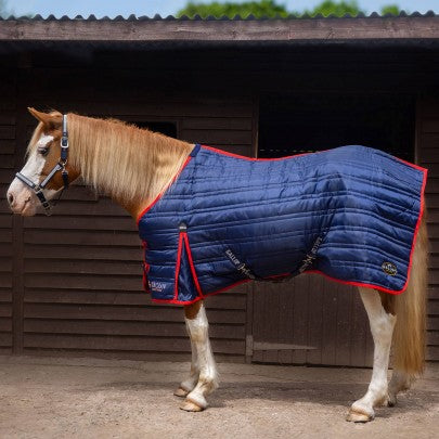 NEW TROJAN 200g Stable Rug