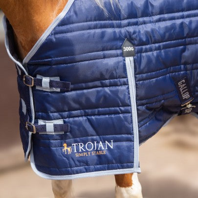 NEW TROJAN 300g Stable Rug