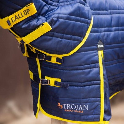 NEW TROJAN 200g Combo Stable Rug
