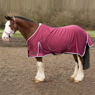 GALLOP Burgundy Summer Sheet