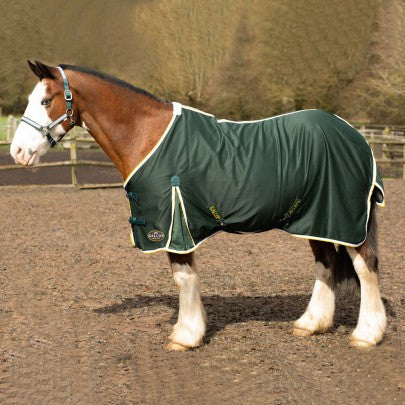 GALLOP Green Summer Sheet