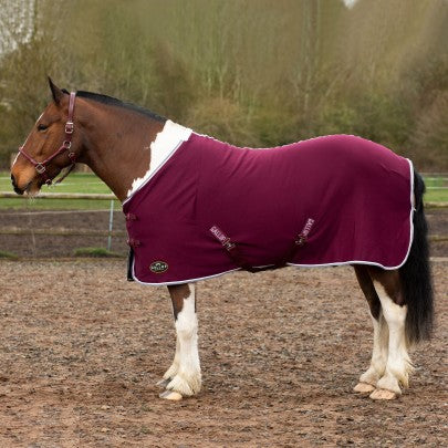 GALLOP Burgundy Jersey Cooler Rug