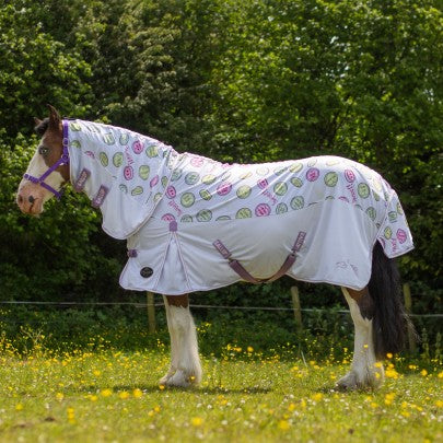 Gallop Sweet Treats Combo Fly Rug