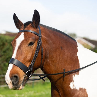 Hunter Bridle