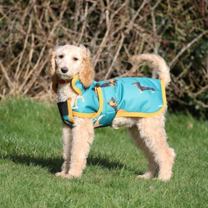 Dogs Print Dog Coat