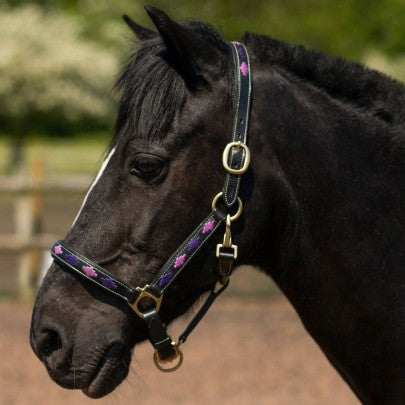GALLOP Purple/Lilac Diamond Padded Leather Headcollar