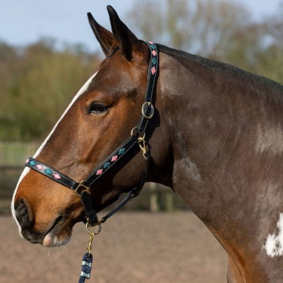 GALLOP Pink/Aqua Diamond Padded Leather Headcollar
