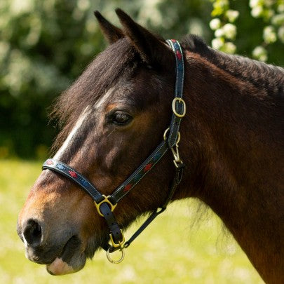 GALLOP Navy/Burgundy Diamond Padded Leather Headcollar