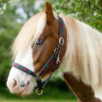 GALLOP Burgundy/Green Diamond Padded Leather Headcollar
