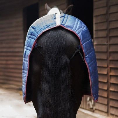NEW TROJAN 50g Stable Rug