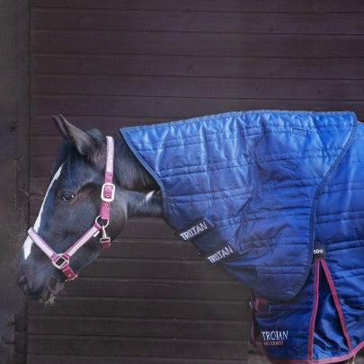 NEW TROJAN 50g Stable Neck Cover
